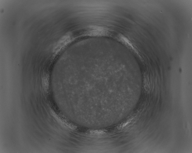 X0000062630208200601111108