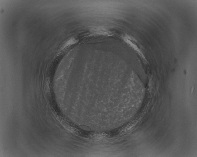 X0000062630209200601111108