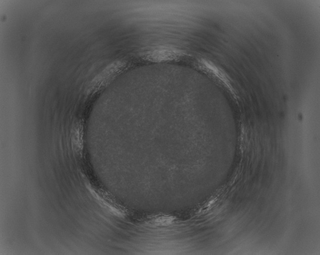 X0000062630210200601111108