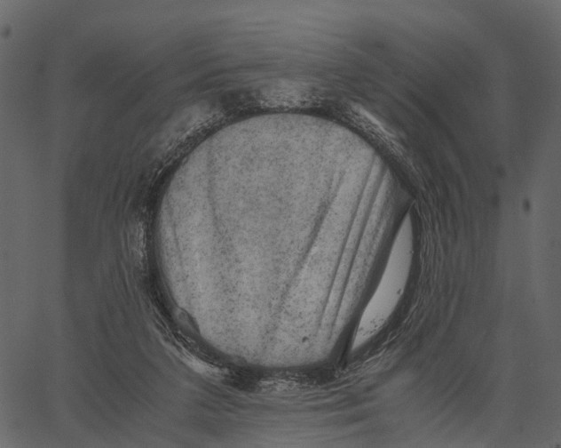 X0000062630211200601111108