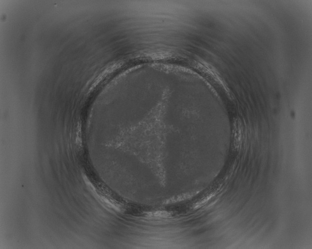 X0000062630212200601111108