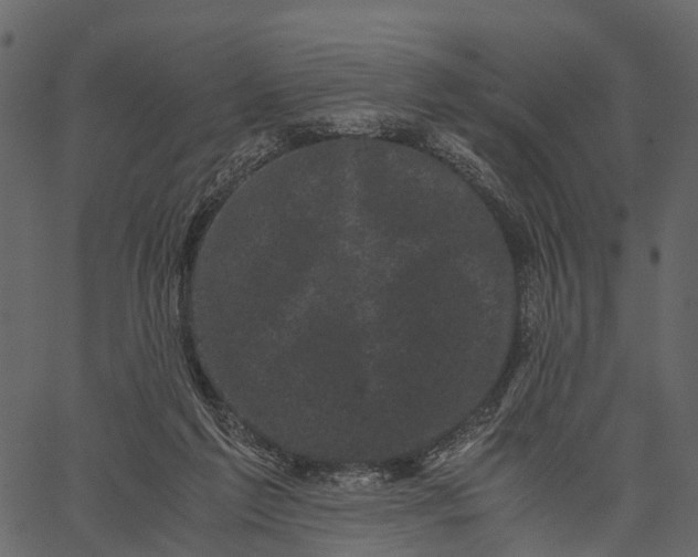 X0000062630213200601111108