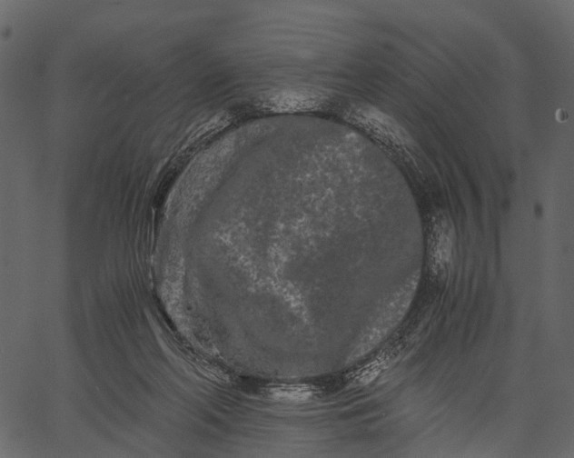 X0000062630214200601111108