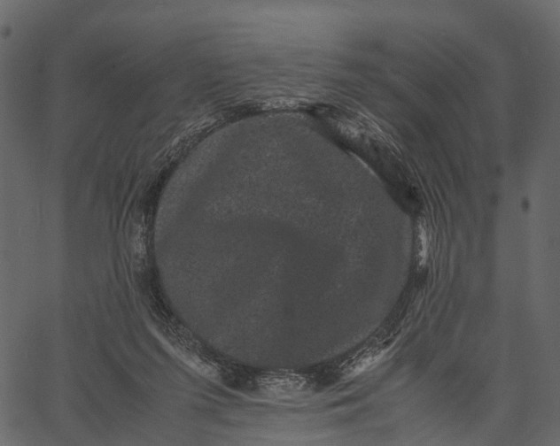 X0000062630215200601111108