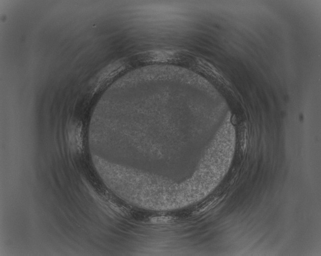 X0000062630216200601111108