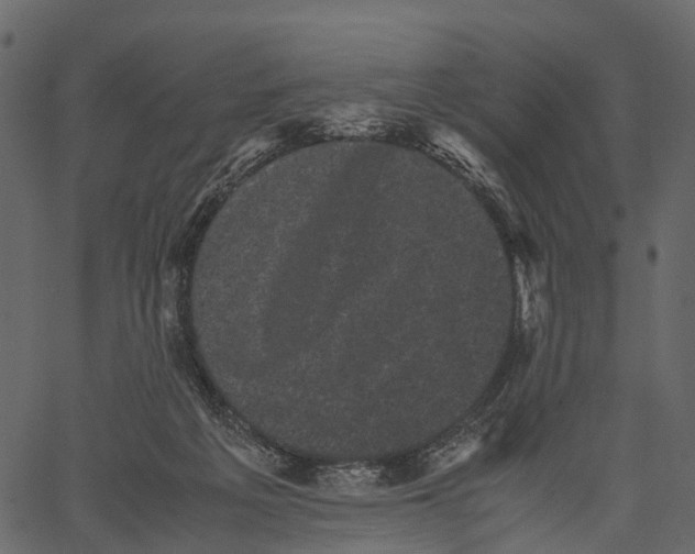 X0000062630217200601111108