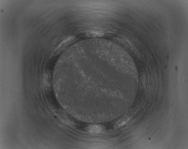 X0000062630218200601111108