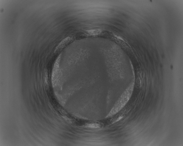 X0000062630220200601111108