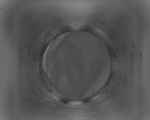 X0000062630221200601111108