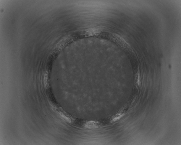 X0000062630222200601111108