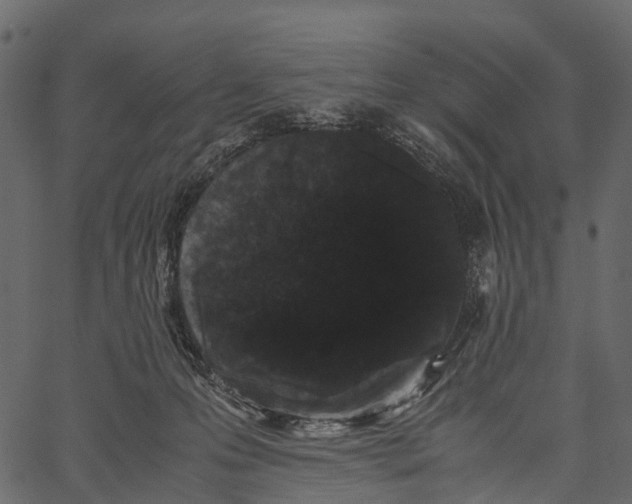 X0000062630223200601111108