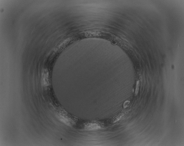 X0000062630224200601111108