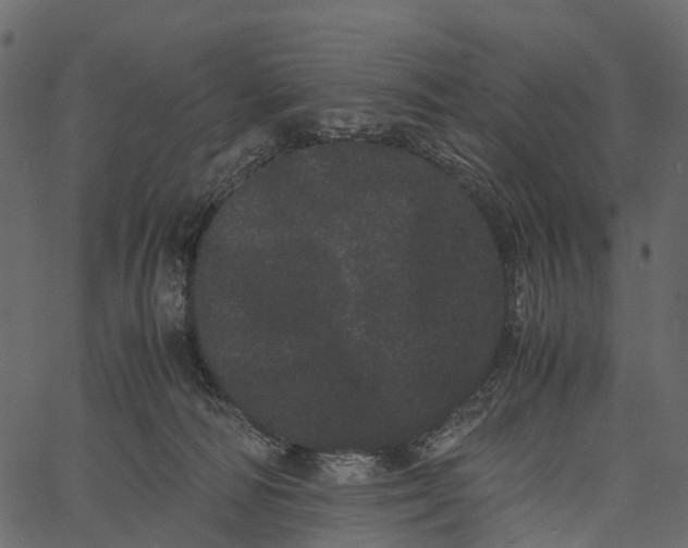 X0000062630226200601111108