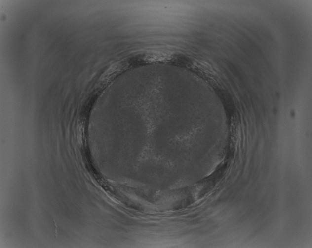 X0000062630227200601111108