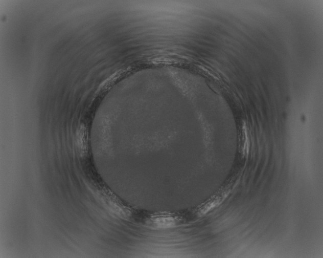 X0000062630228200601111108