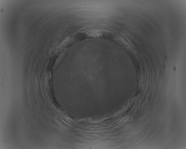 X0000062630229200601111108