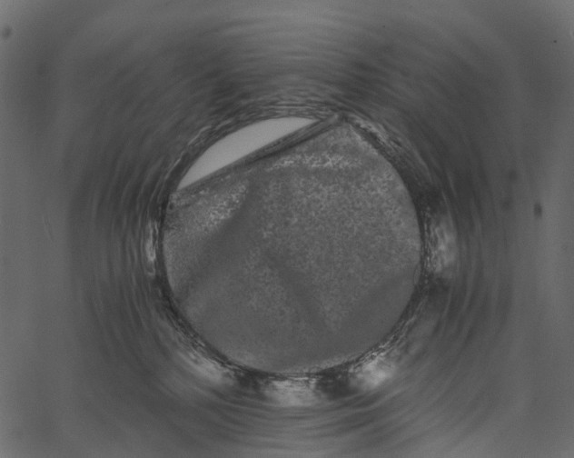 X0000062630232200601111108