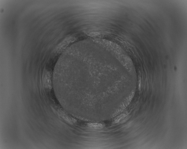 X0000062630234200601111108