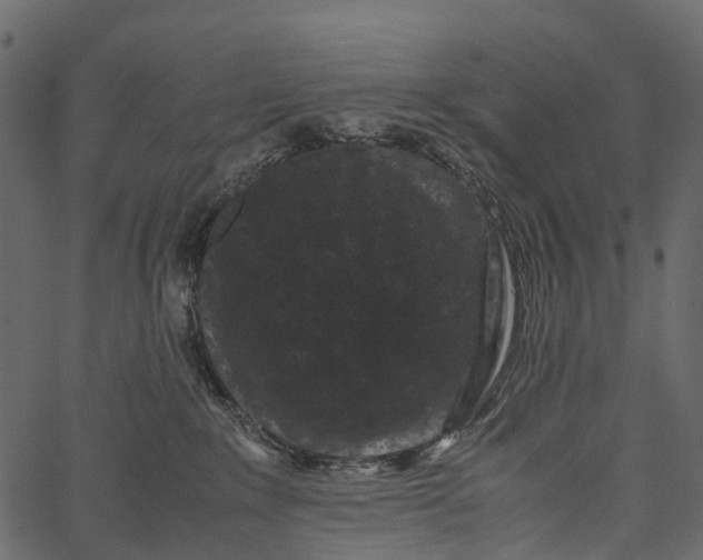 X0000062630235200601111108