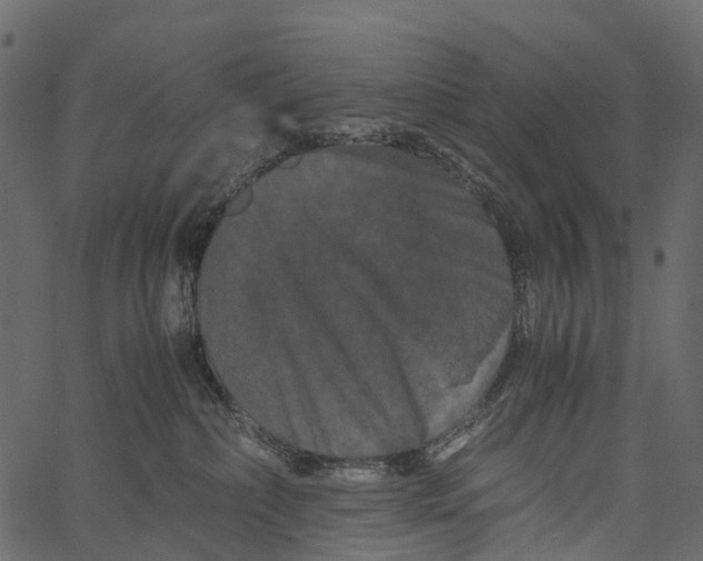 X0000062630236200601111108