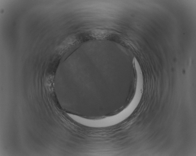 X0000062630237200601111108