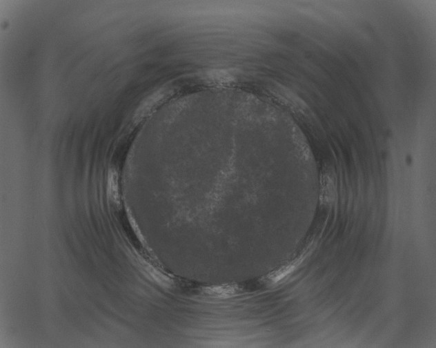 X0000062630238200601111108