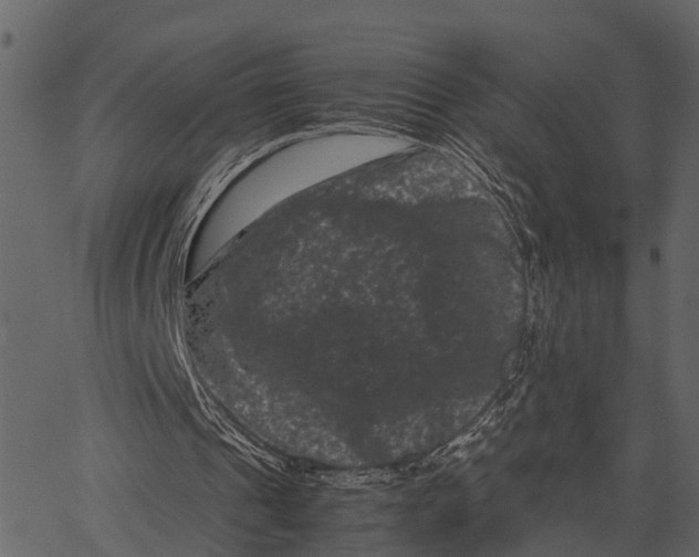 X0000062630241200601111107