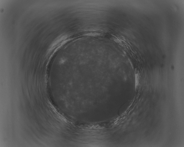 X0000062630243200601111107