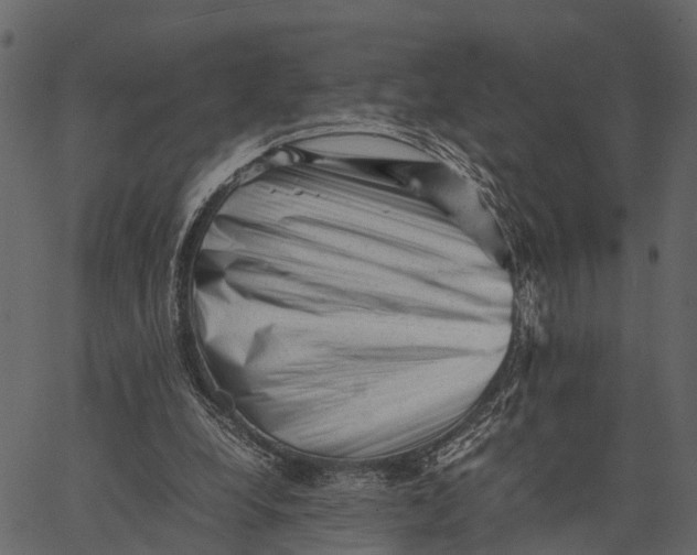 X0000062630248200601111107