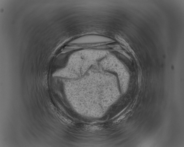 X0000062630249200601111107