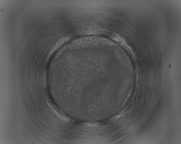 X0000062630250200601111107