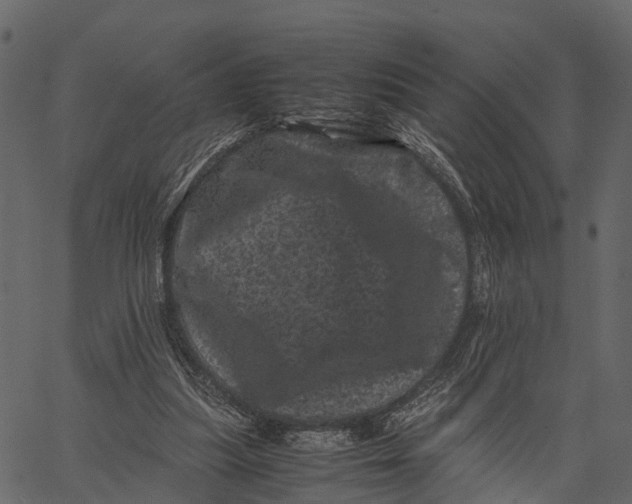 X0000062630251200601111107