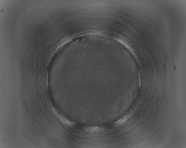 X0000062630253200601111107