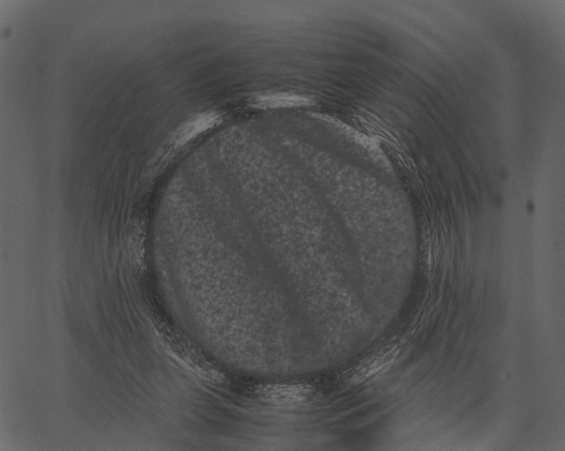 X0000062630255200601111107