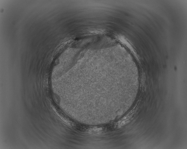 X0000062630257200601111107