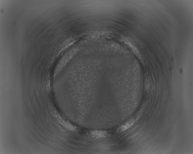 X0000062630261200601111107