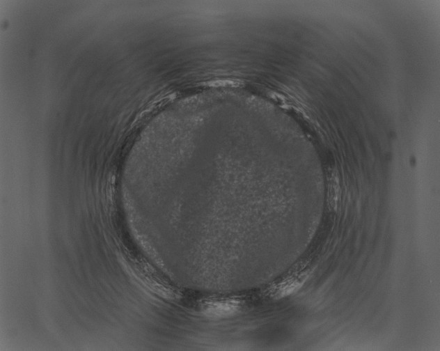 X0000062630263200601111107