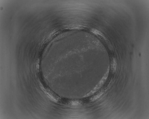 X0000062630264200601111107