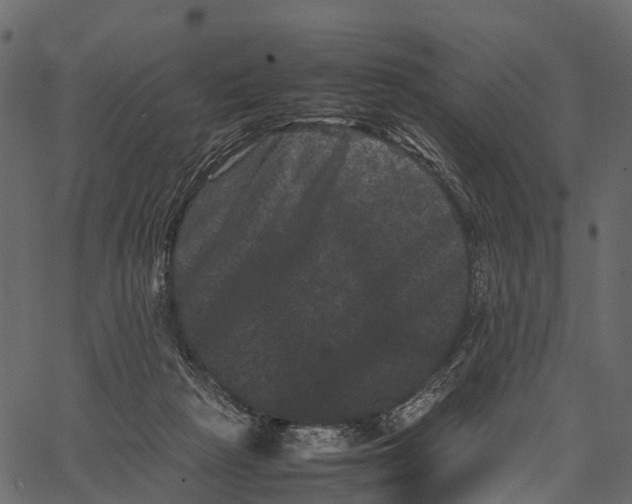 X0000062630265200601111107