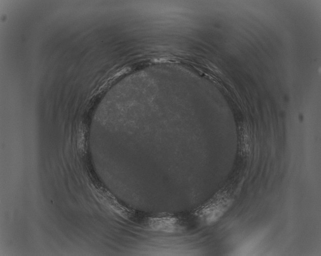 X0000062630266200601111107