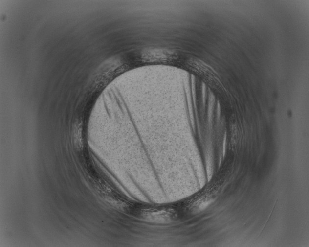 X0000062630267200601111107