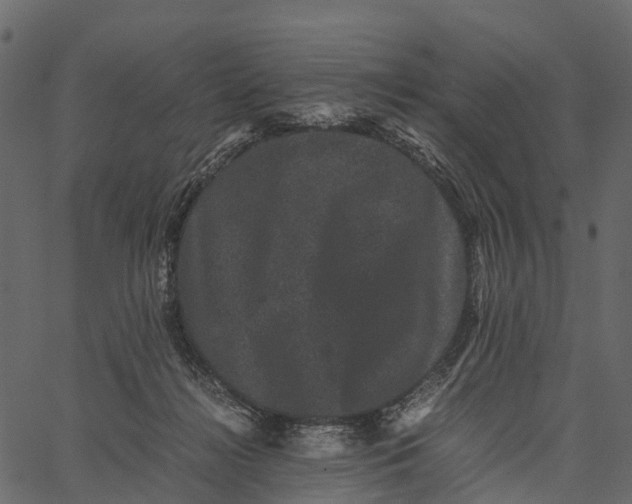 X0000062630268200601111107