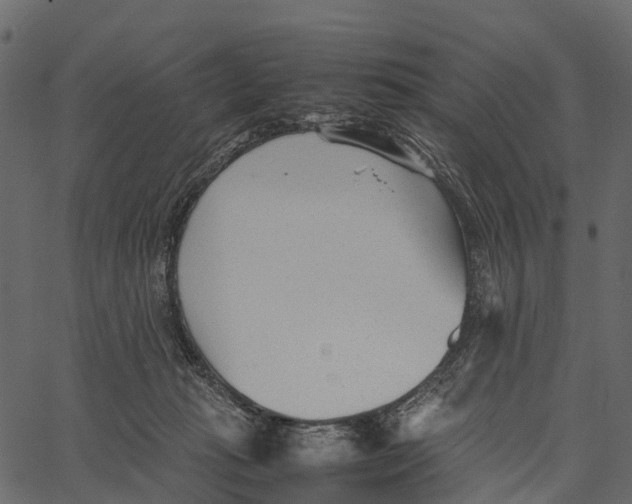 X0000062630269200601111107