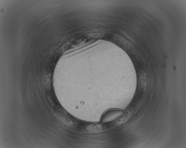 X0000062630271200601111107