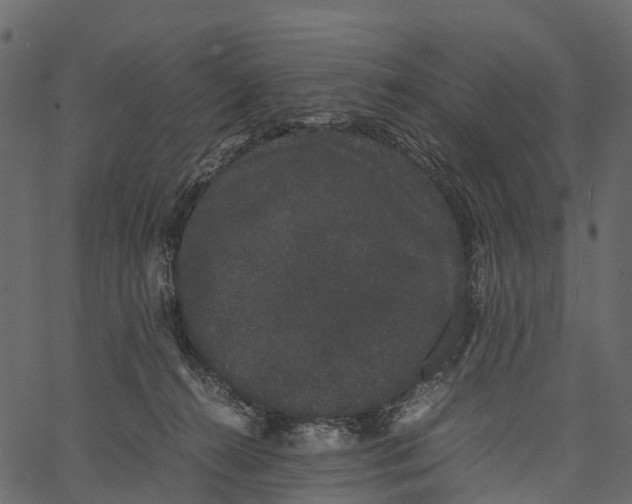 X0000062630272200601111108