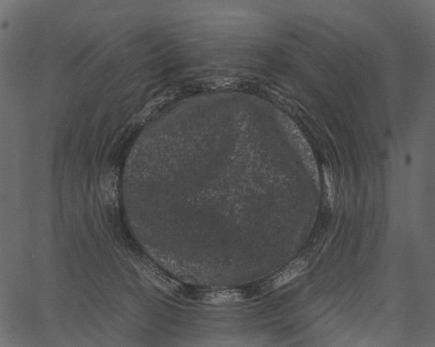 X0000062630274200601111108