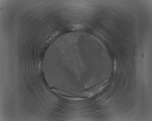 X0000062630276200601111108