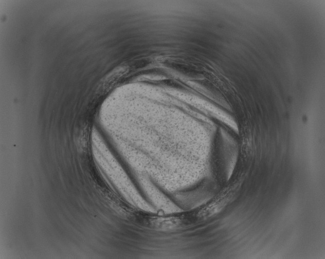 X0000062630277200601111108