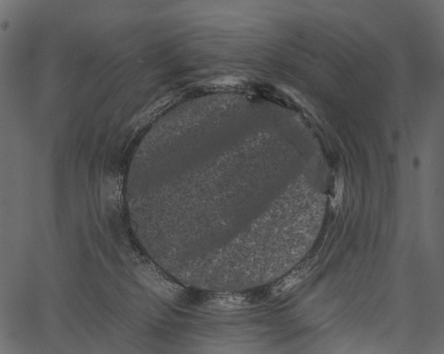 X0000062630278200601111108