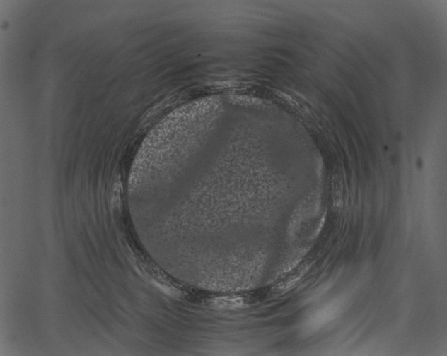 X0000062630279200601111108